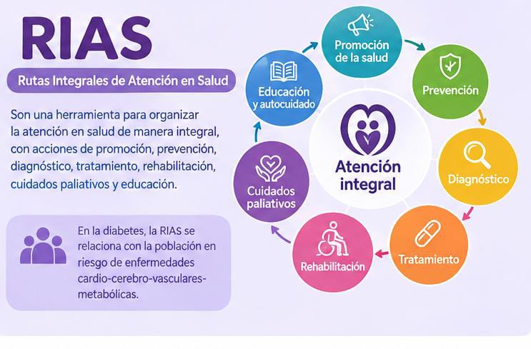 Ciclo de la atención integral: promoción, prevención, diagnóstico, tratamiento, rehabilitación, cuidados paliativos y educación